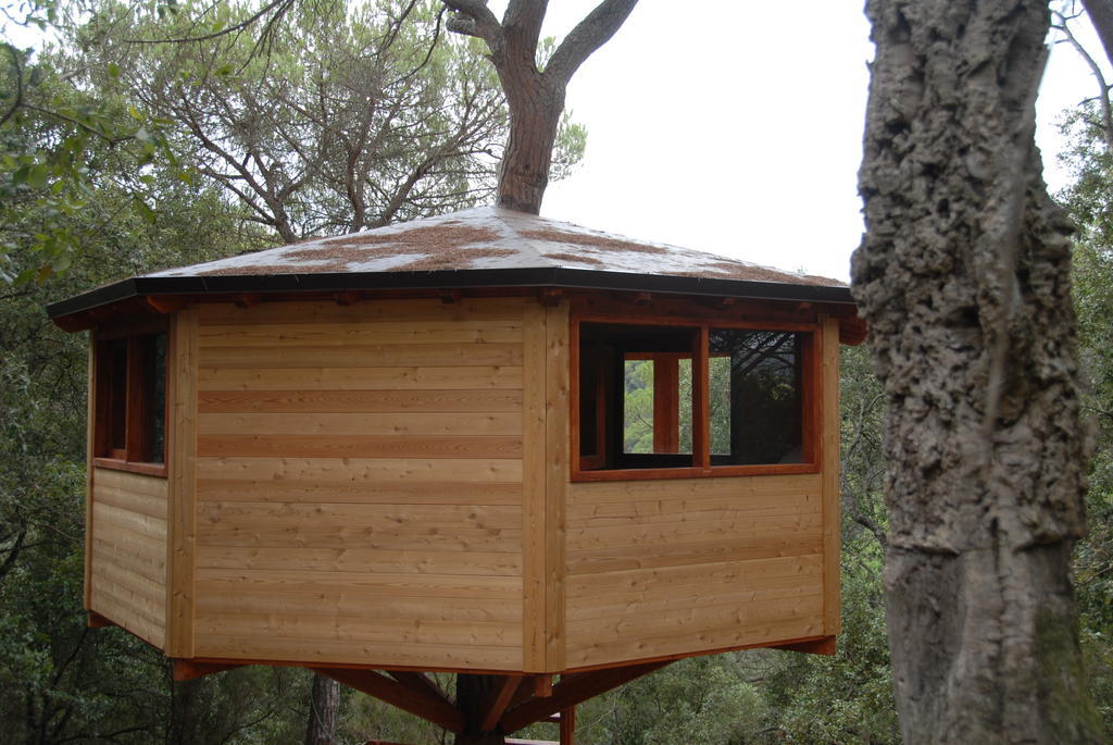 Cabanes Dosrius Canyamas Room photo