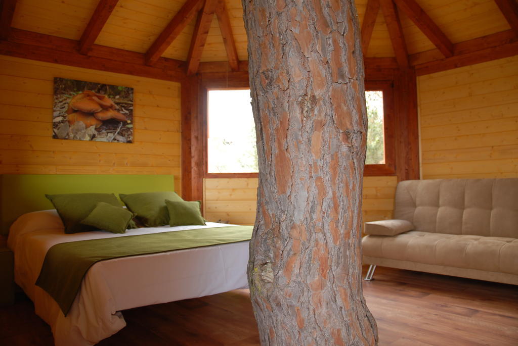 Cabanes Dosrius Canyamas Room photo